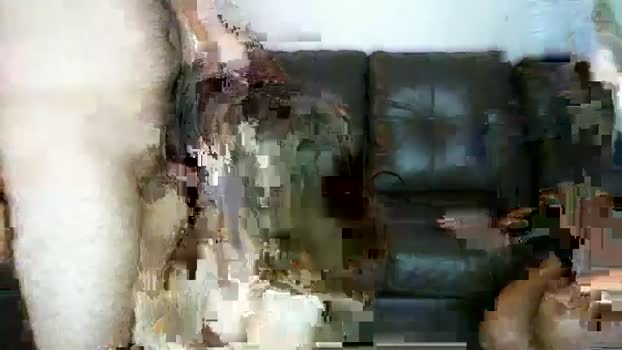 pickleman15253  12-06-2023 lickpussy Couples