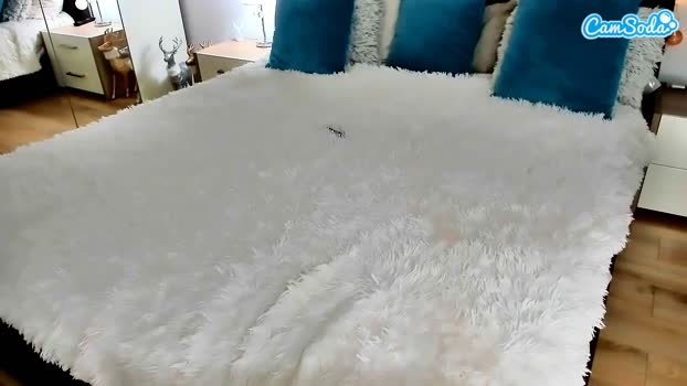 misssophiex CamSoda 20-06-2023 bj-dildo Females