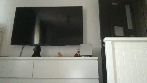 jessiexryan  26-06-2023 strip Females