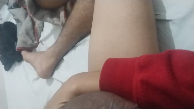 CasalExoticos
