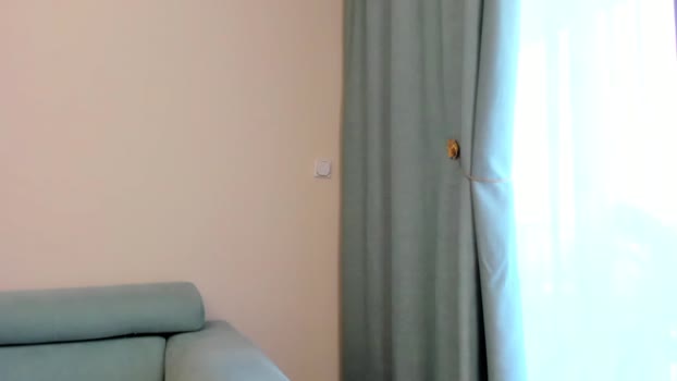 elaanna  07-07-2023 Porn Females