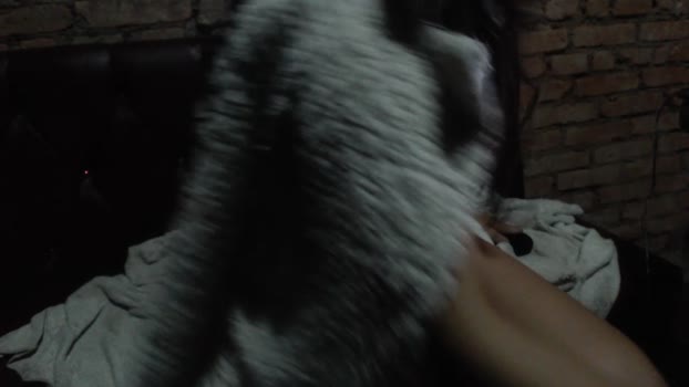 _Delicia666  20-07-2023 blowjob Females