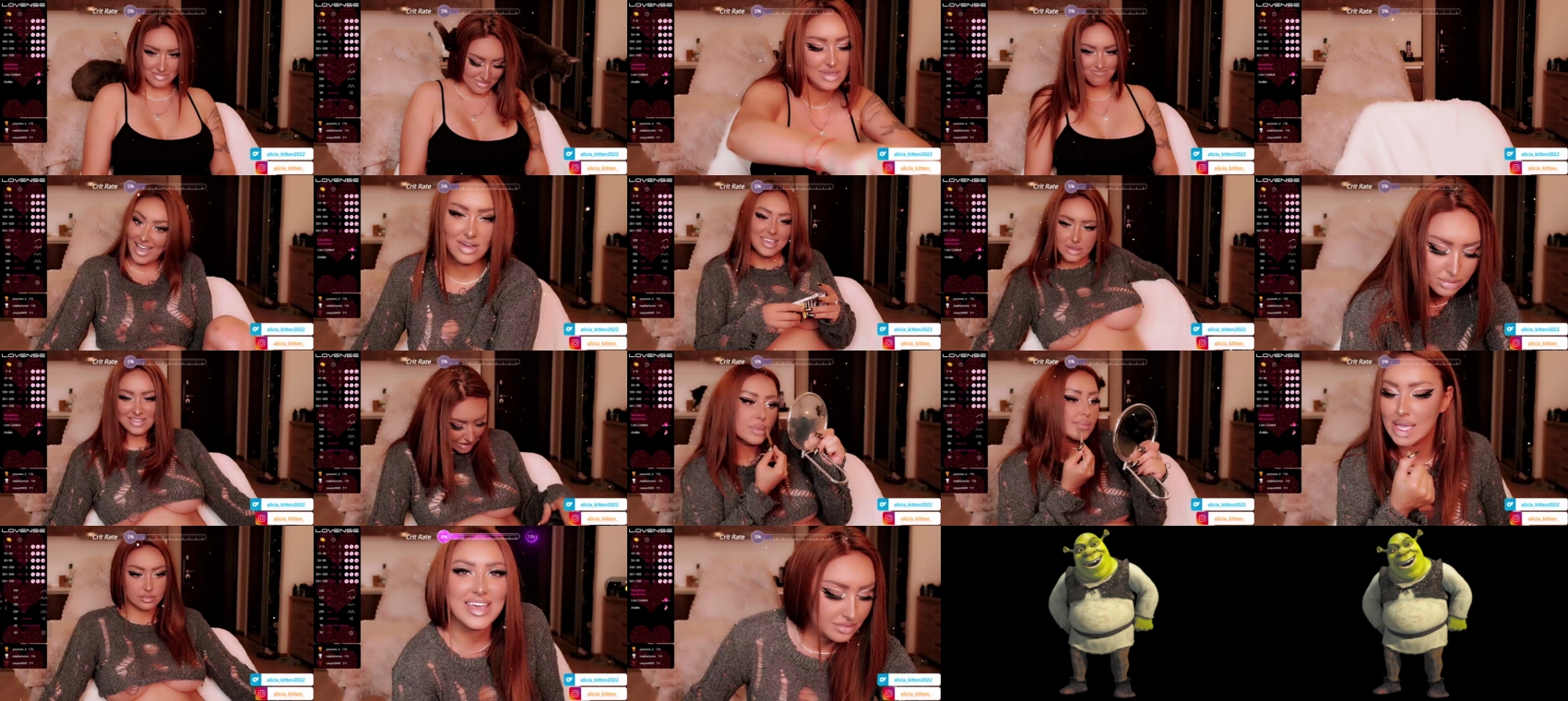 Preview