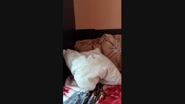 sexydoll25  30-07-2023 deepthroa Females