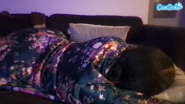 misszylahd CamSoda 03-08-2023 deepthroat Females