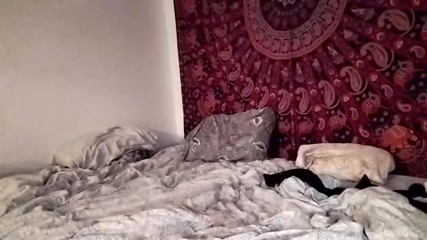 pari30m25n  04-08-2023 lush Couples