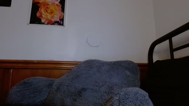 poppywilde  06-08-2023 orgasm Females
