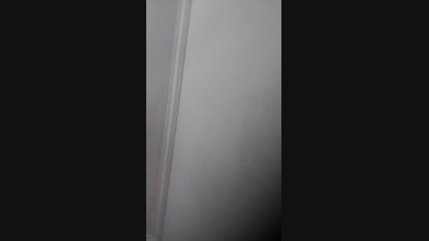 sininho7