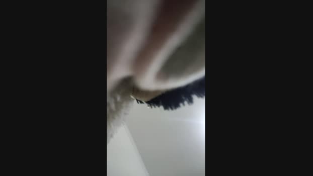 morangoxxx  13-08-2023 sucktits Females