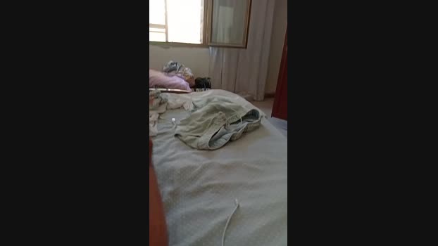 Cristiandenny  16-08-2023 horny Females