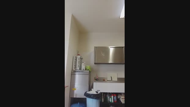 Missredgirl  17-08-2023 fuckass Females