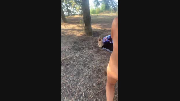 Fuckhard4you  19-08-2023 ass Females