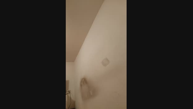 foxyqueen1