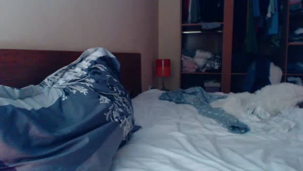SexyAndra33  20-08-2023 ass Females