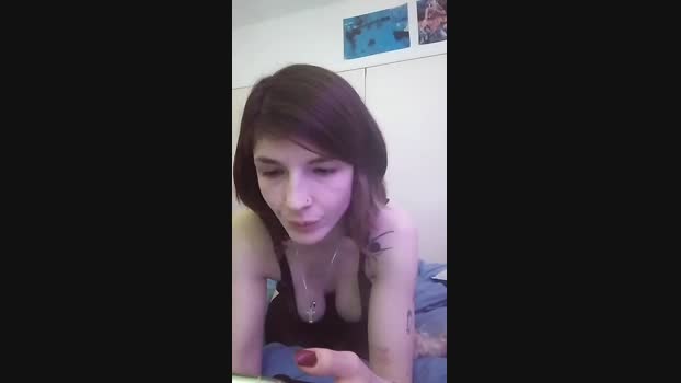 alexa_kitten