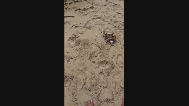 Myqueenfeet1900  31-08-2023 oral Females