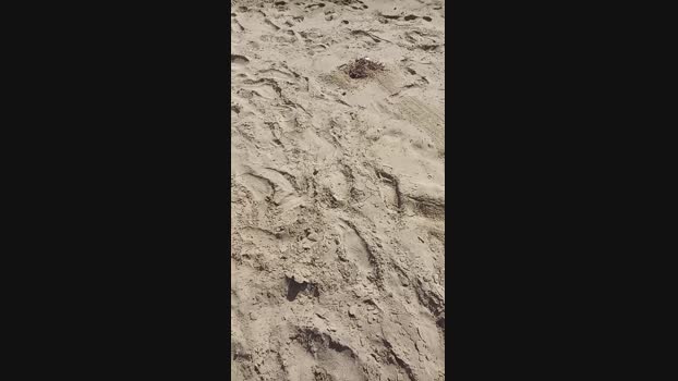 Myqueenfeet1900  31-08-2023 tits Females