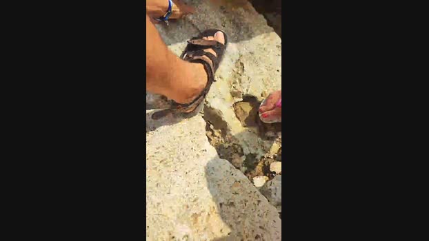 Selaeip  31-08-2023 fingering Females