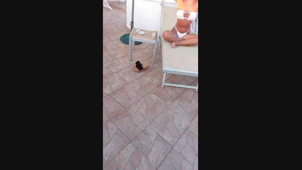 Myqueenfeet1900  31-08-2023 deepthroa Females