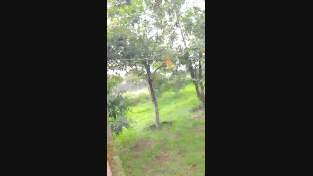 Tania__honey  03-09-2023 fuckpussy Females