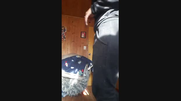 leonorfox  02-09-2023 blowjob Females