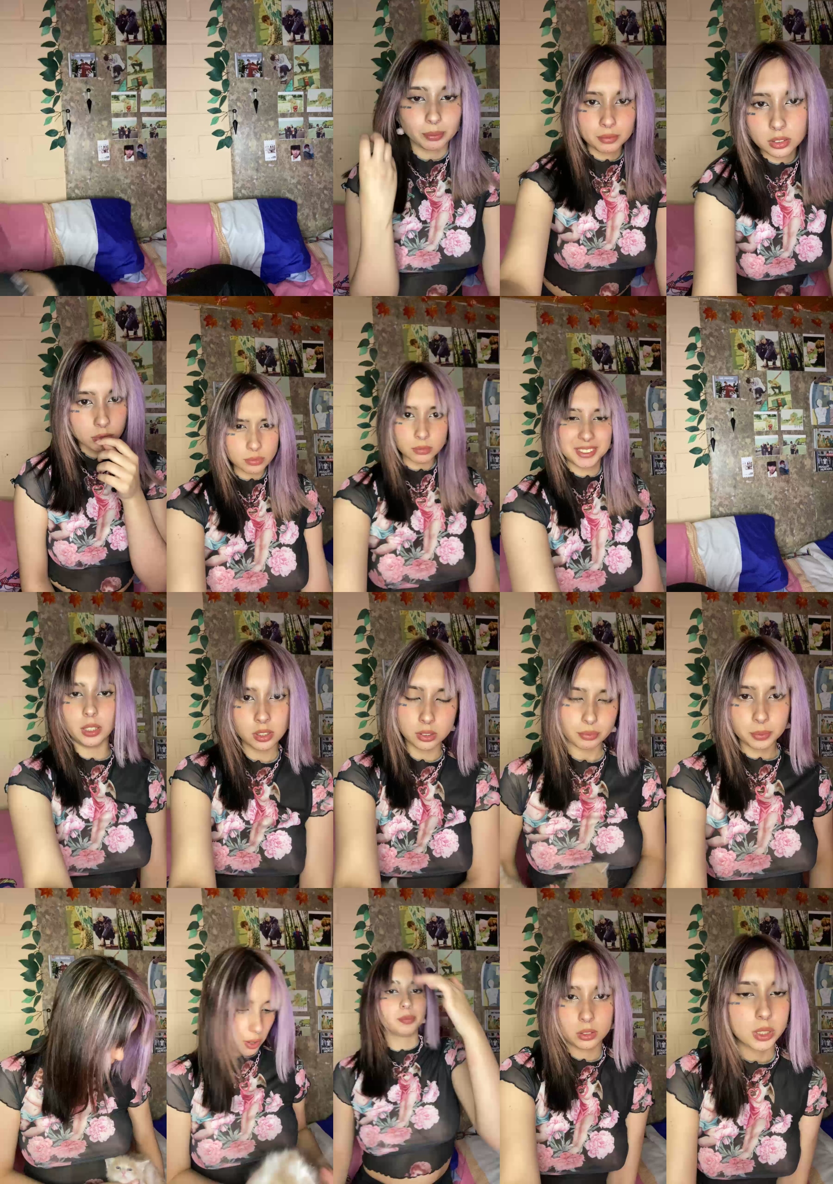 Preview