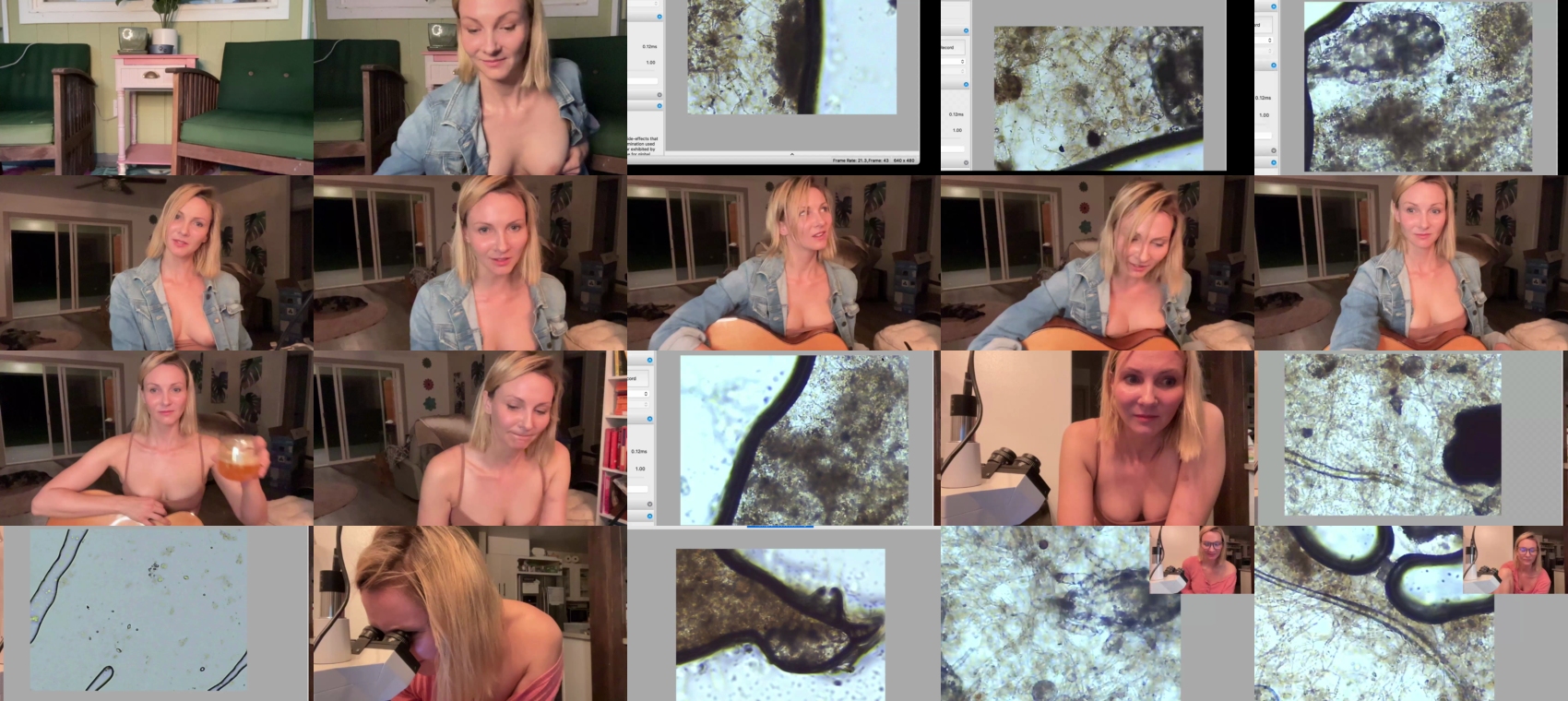 Preview