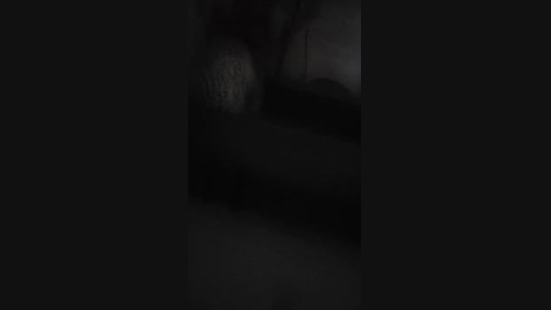 morangoxxx  13-09-2023 ass Females