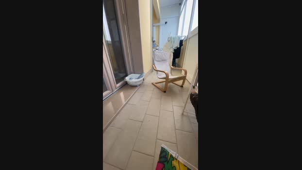 Moonlady90  15-09-2023 fuck Females