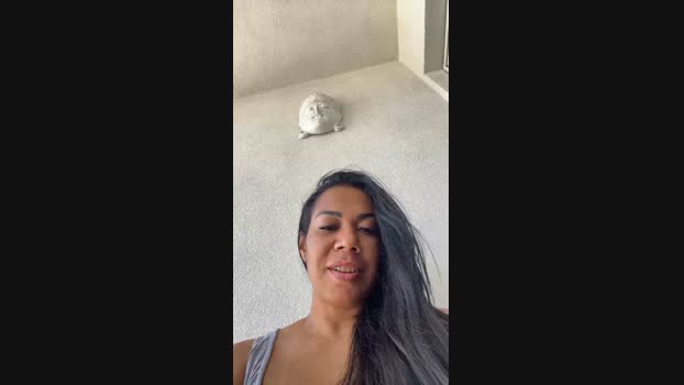 Hellena331  19-09-2023 fuckme Females