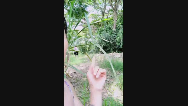 Tania__honey  25-09-2023 XXX Females