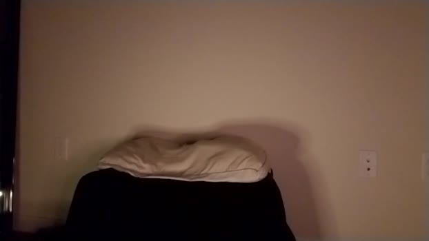 sweetieslikebutter  03-10-2023 suckshow Females
