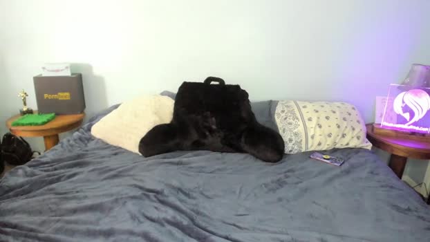 akgingersnaps  11-10-2023 squirt Couples