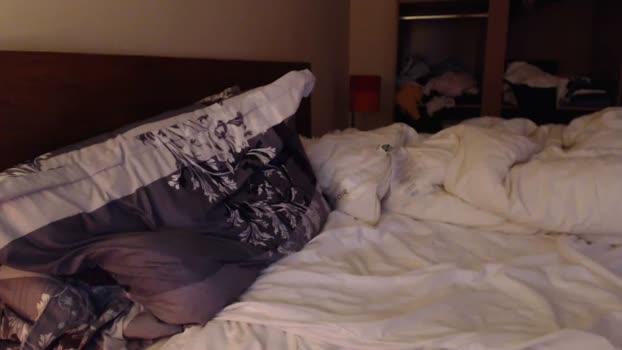 SexyAndra33  17-10-2023 strip Females