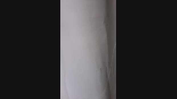 margot48  20-10-2023 blowjob Females