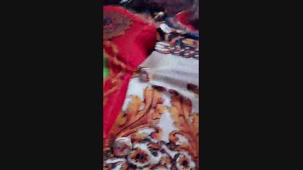 eveangelll  24-10-2023 sexyfeet Females
