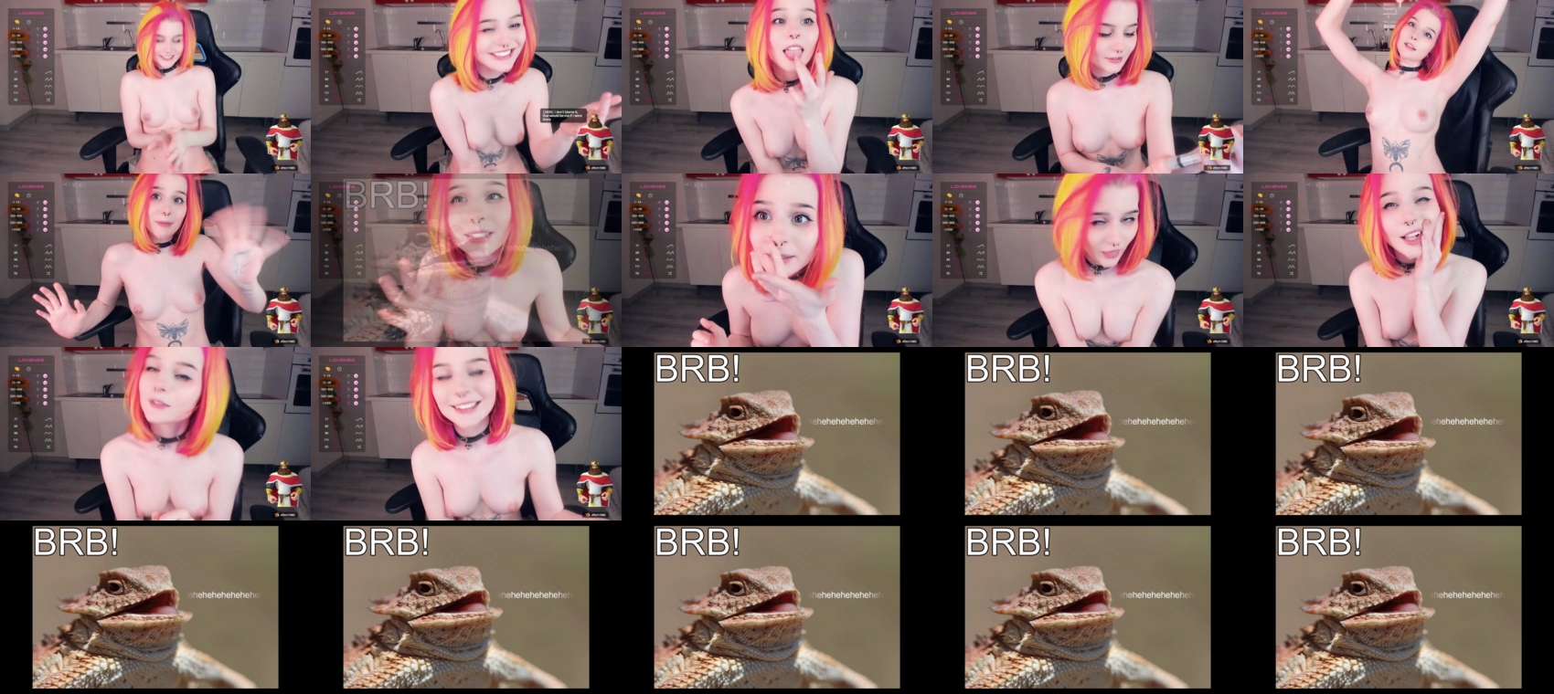 Preview