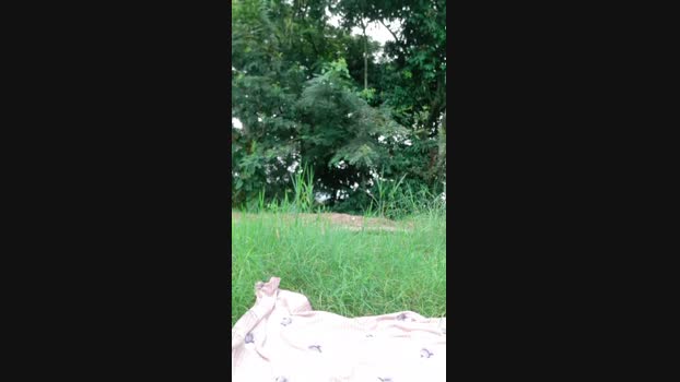 Tania__honey  02-11-2023 spank Females