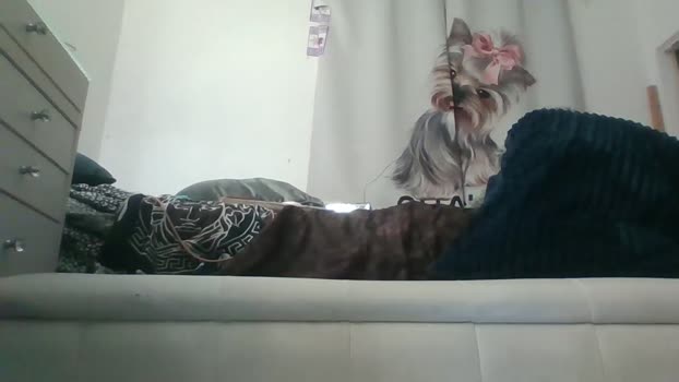 sexybigass777