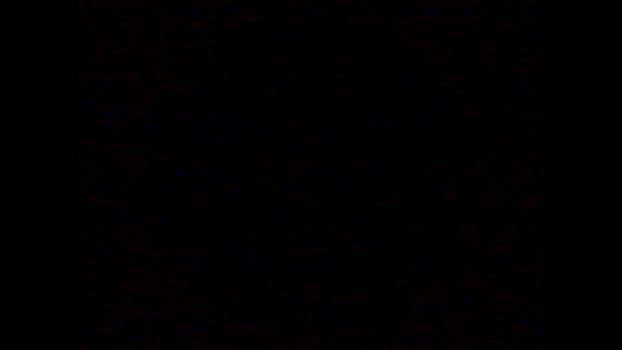 brunatavares7  17-11-2023 blowjob Females
