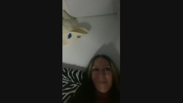 _Funny_Bunny_