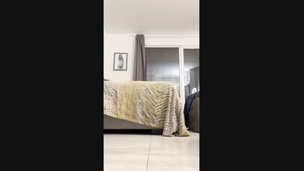 Sexy___Morena  23-11-2023 suckcock Females