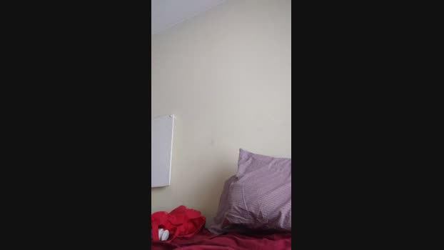 Babygirldamm  25-11-2023 analsex Females