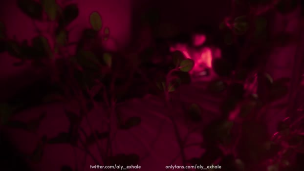 _exhale 13-12-2023 Recorded Females