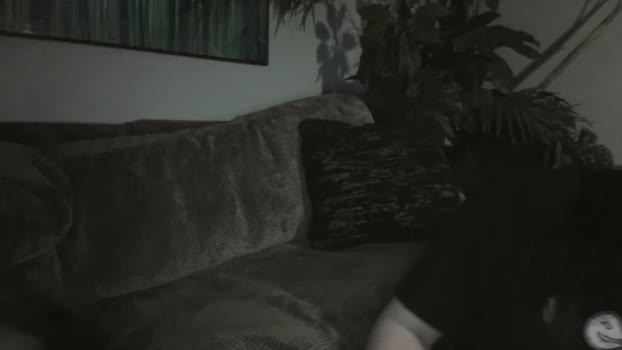 lustfullives 21-12-2023 wet Couples