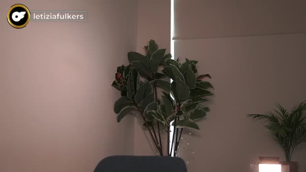 letiziafulkers1 17-02-2024 sexy Females