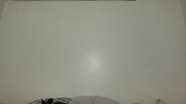 goddesscalixta 25-02-2024 gag Couples