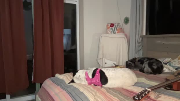 kaileeshy 07-05-2024 fuckme Females