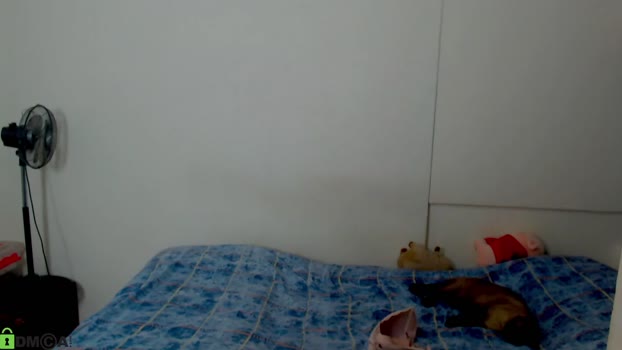 ameli_and_lucas 30-05-2024 blowjob Couples