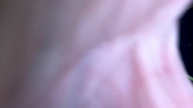 kitten_n_daddy69 02-06-2024 horny Couples